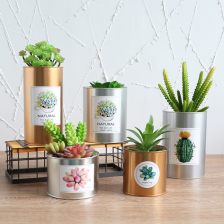 打造理想之家 探索家居裝飾品網與家居飾品的無限可能