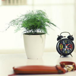 太平洋家居網產品庫 點亮家居生活的裝飾品與日用雜貨