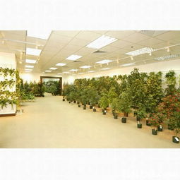 華達工廠 匠心制造，品質卓越的裝飾藝術專家